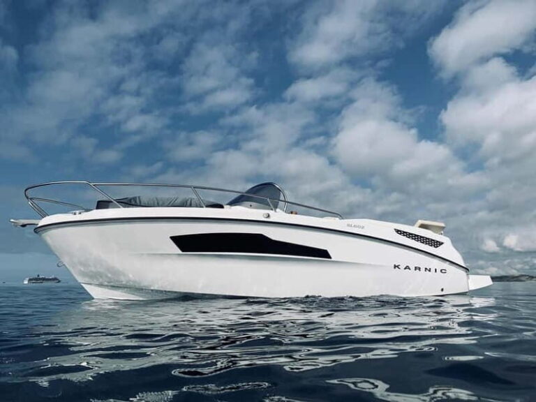 Lake Como: 2h Shared Boat Tour with Wine Tasting - Who Will Love This Tour?