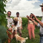 Lake Garda: Pic Nic in the vineyard with wine tasting - The picnic: simple yet satisfying