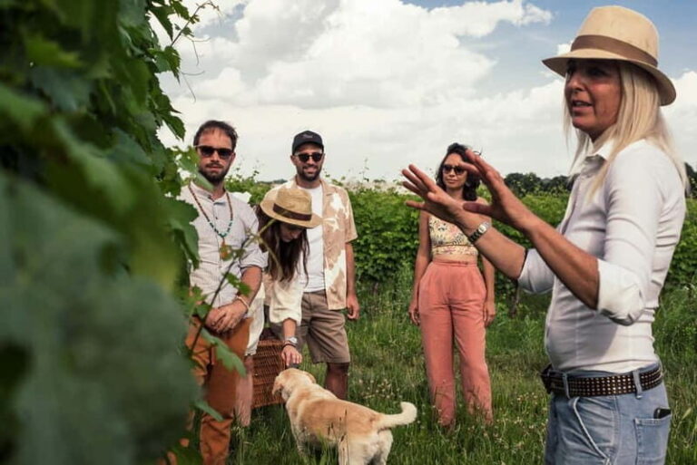 Lake Garda: Pic Nic in the vineyard with wine tasting - The picnic: simple yet satisfying
