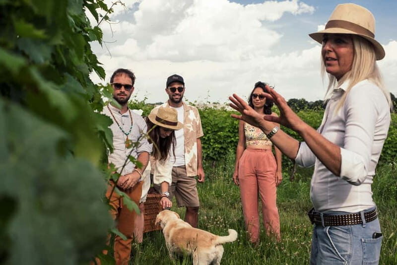 Lake Garda: Pic Nic in the vineyard with wine tasting - The picnic: simple yet satisfying