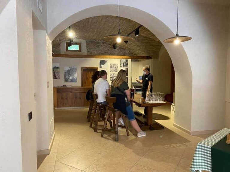 Lake Garda: Winery Visit with Wine and Olive Oil Tasting - Final Thoughts