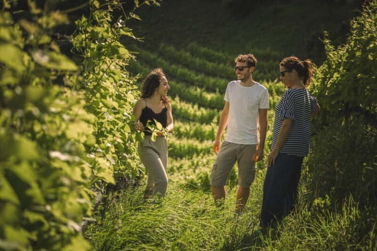 Lake Ledro: wine Pic Nic with stunning Lake View - The Sum Up