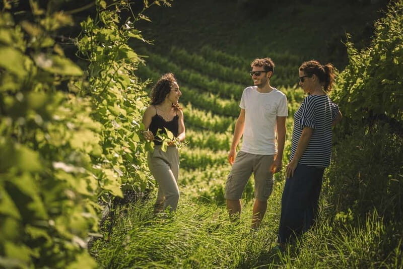 Lake Ledro: wine Pic Nic with stunning Lake View - The Sum Up