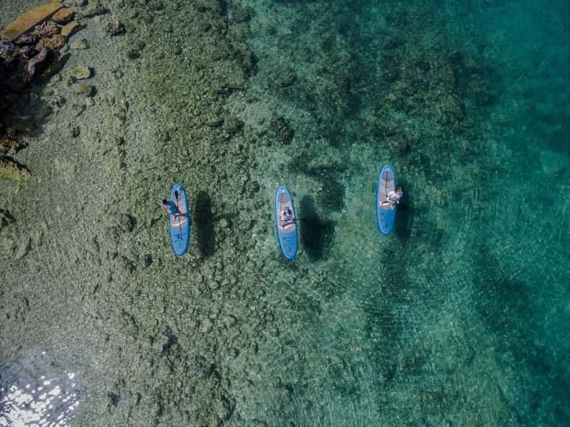 Lake Ohrid: Guided Paddle Boarding Tour - What You Can Expect from the Paddle Boarding Experience