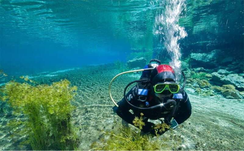 Lake Ohrid: Try Diving at the Bay of the Bones - Practical Details and Value