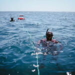 Lanzarote: Intro to Freediving Experience - The Itinerary: Step by Step