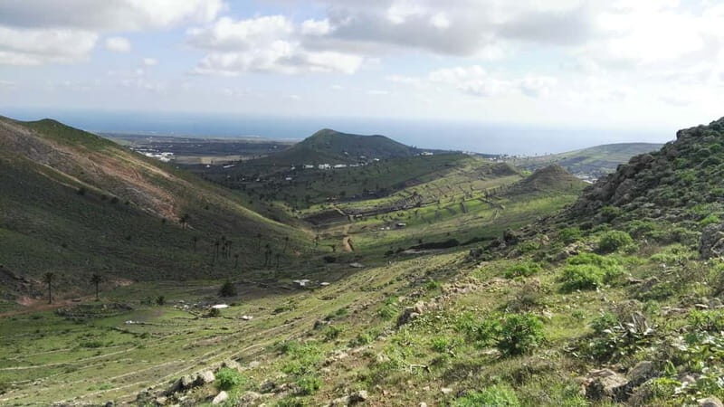 Lanzarote: Northern Cliffs & Valleys Walking tour - Who Will Enjoy This Tour?