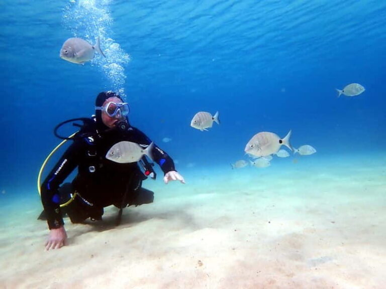 Lanzarote: Small-Group Discover Scuba Diving Costa Teguise - What to Expect at Each Step