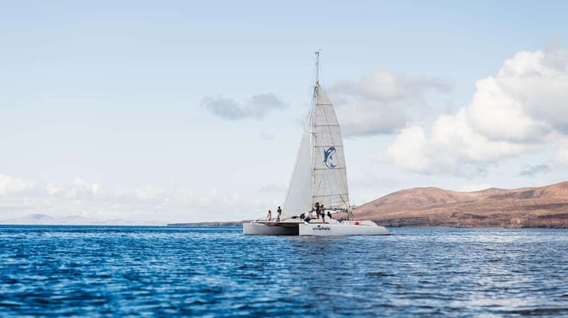 Lanzarote Sunset Experience with dolphin spotting - Value for Money