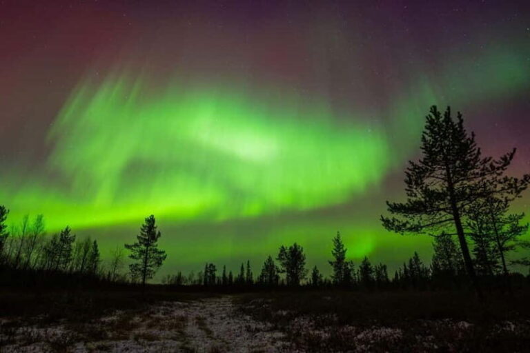 Lapland: Aurora Hunting by Minivan with Guide and Transport - Aurora Viewing Strategy