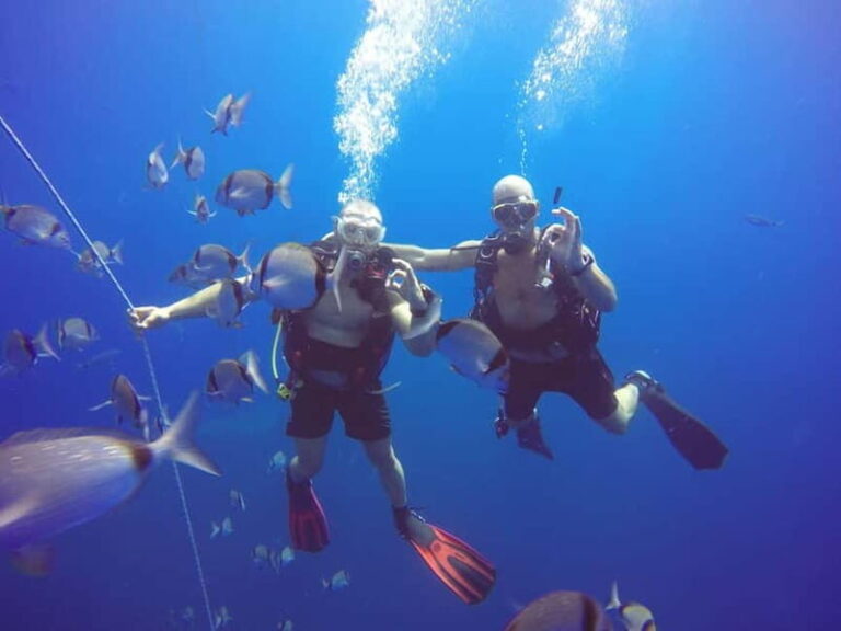 Larnaca: Private Zenobia Beginners Divers - Practical Details: Comfort and Convenience