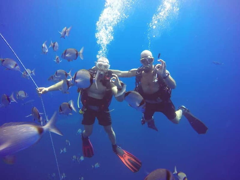 Larnaca: Private Zenobia Beginners Divers - Practical Details: Comfort and Convenience