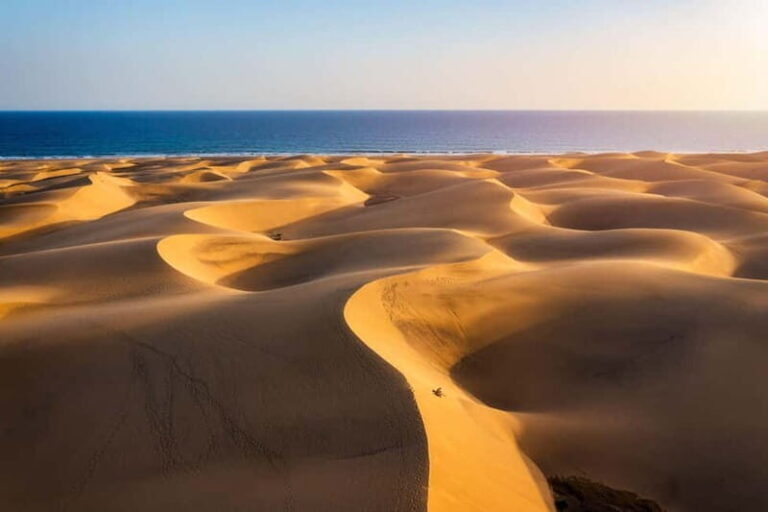 Las Palmas or Maspalomas: Contrasts tour of Gran Canaria - What’s Included and What to Know