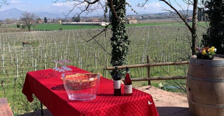 Lazise: Biodynamic Farm Tour and Natural Wine Tasting - Exploring the Biodynamic Farm Tour: What to Expect