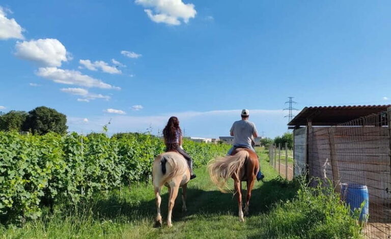 Lazise: Horseback Riding and Farm Picnic local food - Why This Tour Is a Great Choice