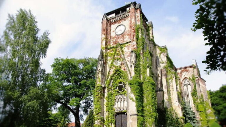 Leipzig: Hop-On-Hop-Off Bus Tour & City Walk - What the Reviews Say