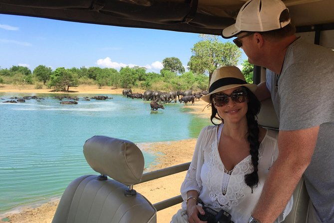 Leopard Safari Tour in Yala National Park - Key Points  