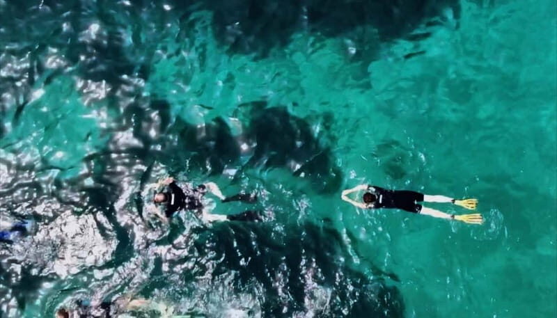L'Estartit: Medes Islands Cruise with Guided Snorkeling - The Itinerary: Breaking Down the Highlights