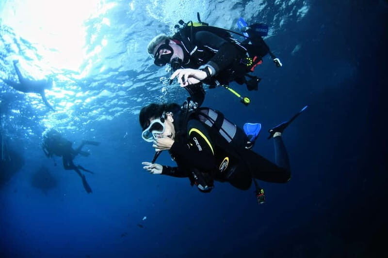 L'Estartit: Try dive in a National Park with us! - What to Expect During the Dive