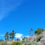 Levanto: Hiking Tour with Creative Workshop! - What Makes This Tour Stand Out?