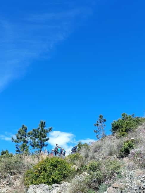 Levanto: Hiking Tour with Creative Workshop! - What Makes This Tour Stand Out?
