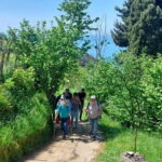 Levanto to Bonassola Hiking Tour: Nature & Wonderful Views - What Sets This Tour Apart?