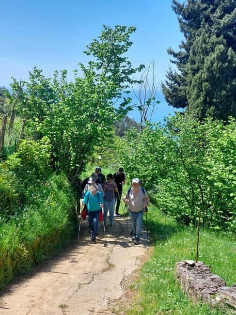 Levanto to Bonassola Hiking Tour: Nature & Wonderful Views - What Sets This Tour Apart?