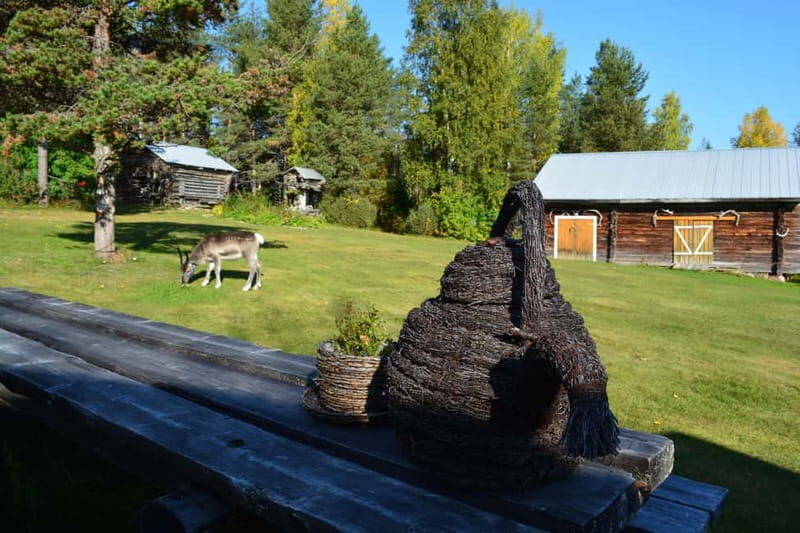 Levi: Canoeing Adventure with Reindeer Farm Visit - Practical Considerations