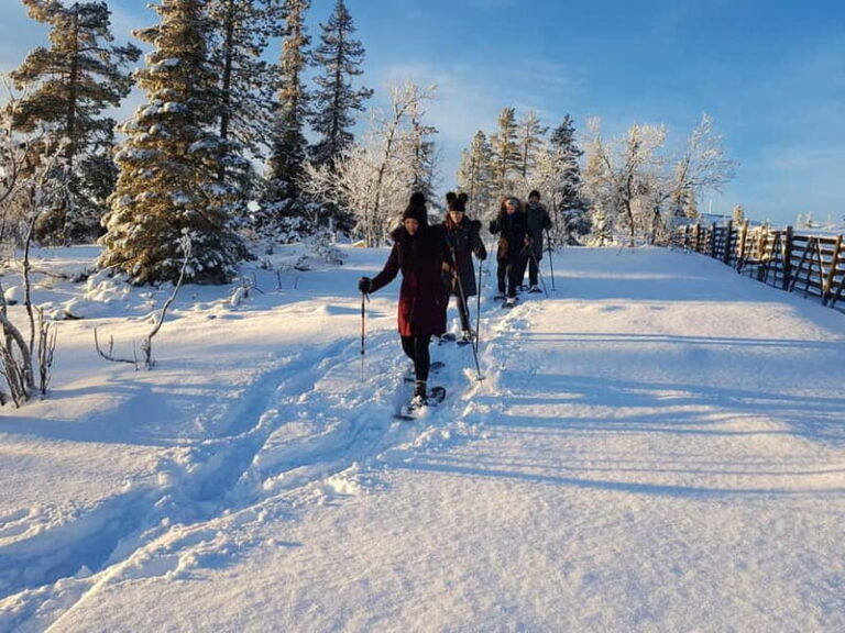 Levi: Easy Snowshoeing - What to Expect from Your Snowshoeing Trip in Levi