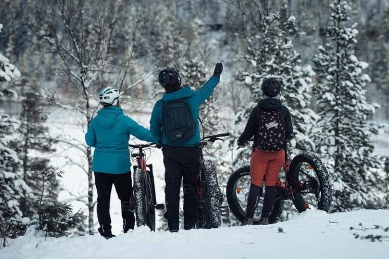 Levi, Lapland: E-Fatbike trip to white nature - Why Choose This Tour?