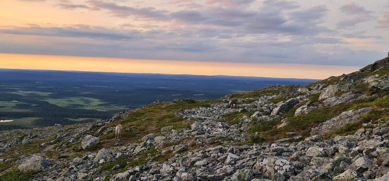 Levi: Pallas Panoramic Hike - Practical Details