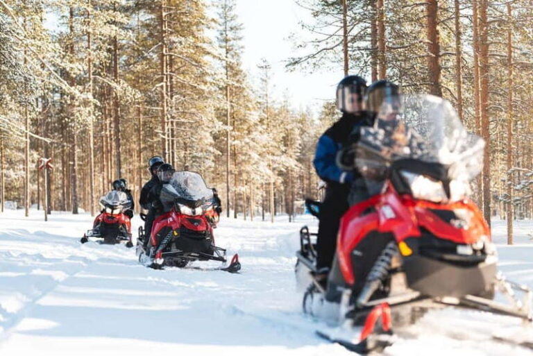 Levi: Snowmobile Safari to the Levi Nature - What This Tour Means for You