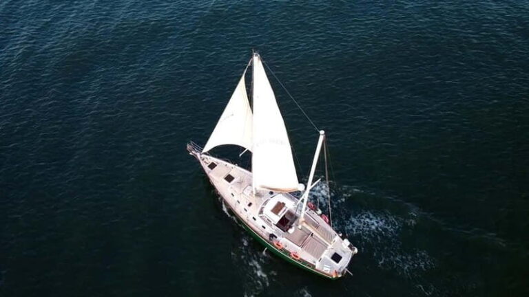 Lisbon: 3-Hour Sailing Tour with Swim and Drinks - Who Will Love This Experience?