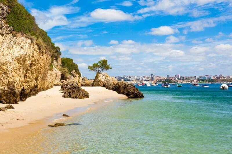 Lisbon: Arrábida Natural Park, Setúbal, and Azeitão Day Trip - Discovering Setúbal’s Charm