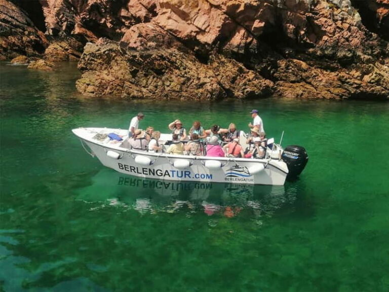 Lisbon: Berlenga Grande Island & Mafra Palace Private Trip - An In-Depth Look at the Tour Experience