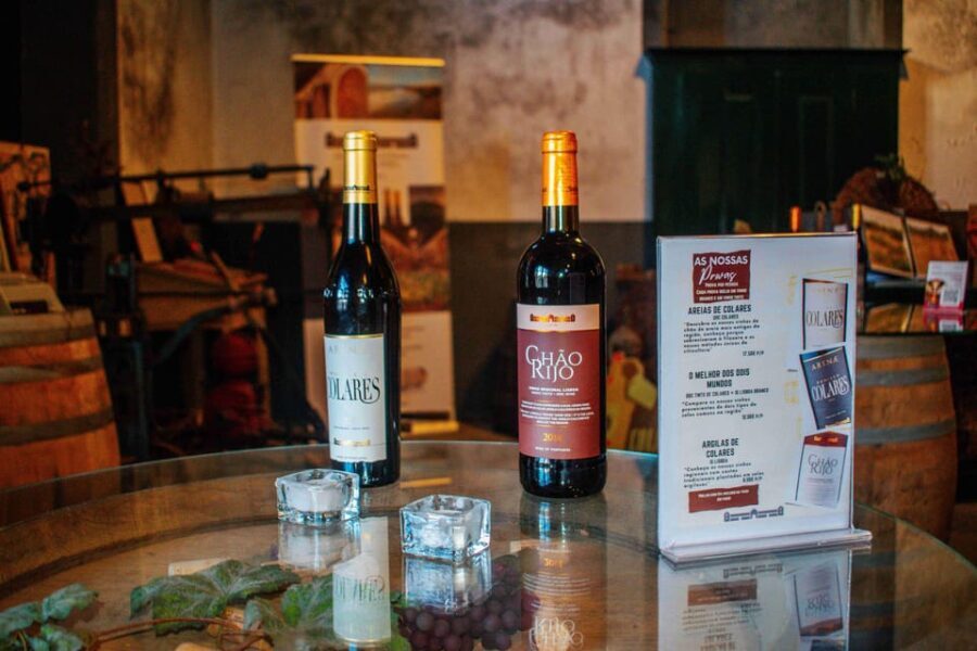 Lisbon: Sintra Off the Beaten Path Tour with Wine Tasting - Final Thoughts