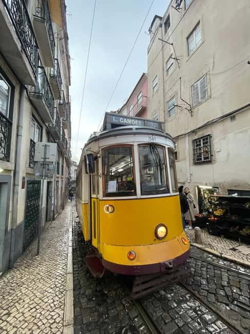 Lisbon: Walking Tour with Historic Tram 28 Ride & Tastings - Who Will Love This Tour?
