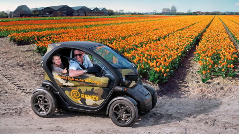 Lisse: Self-Guided Tulip Fields GPS Audio Tour - Is It Worth the Price?