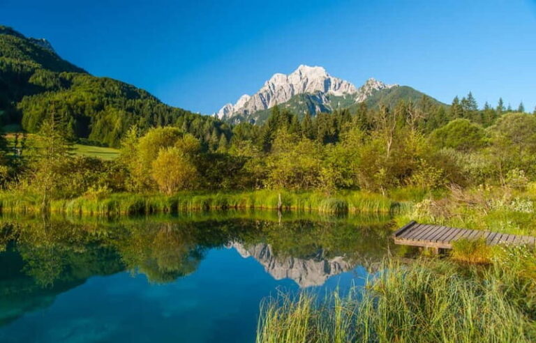 Ljubljana: Julian Alps and Triglav NP private tour - Transportation & Guide Experience