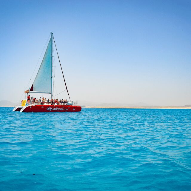 Lobos Island: 4-Hour Catamaran Trip with Lunch - The Overall Experience: What We Think