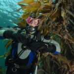 Lofoten: First Time Scuba Diving Experience - An Authentic Arctic Water Adventure