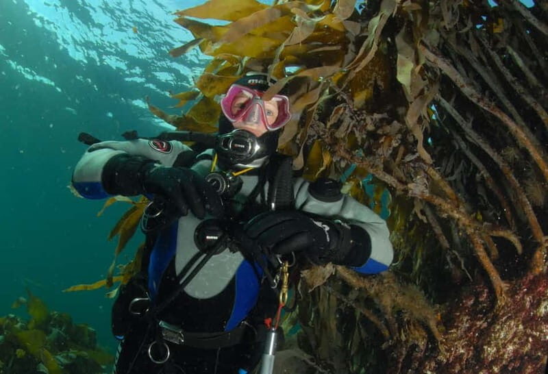 Lofoten: First Time Scuba Diving Experience - An Authentic Arctic Water Adventure