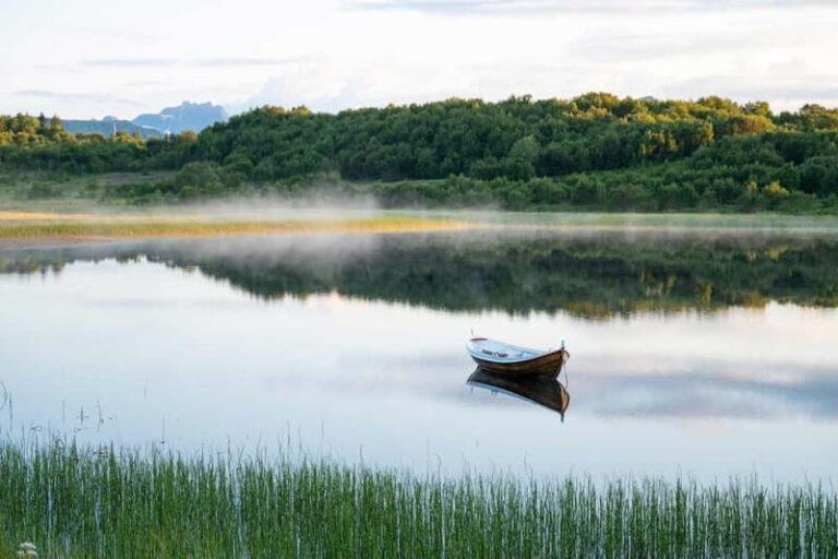 Lofoten: Half-Day Guided Tour with Photo Stops - Real Traveler Insights and Experiences