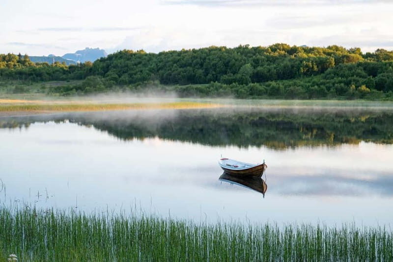 Lofoten: Half-Day Guided Tour with Photo Stops - Real Traveler Insights and Experiences