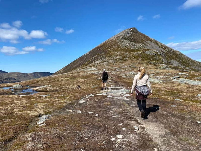 Lofoten Islands: Guided Hiking Into the Wilderness-Easy Tour - A Deep Dive into the Experience