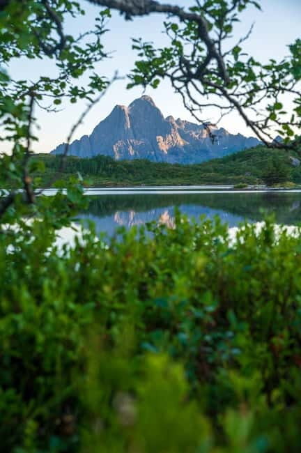 Lofoten: Midnight Magic Tour with Snacks and Drinks - A Closer Look at the Tour Itself