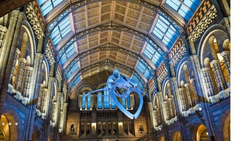 London: Natural History Museum Guided Tour - Practical Details & Tips for Visitors