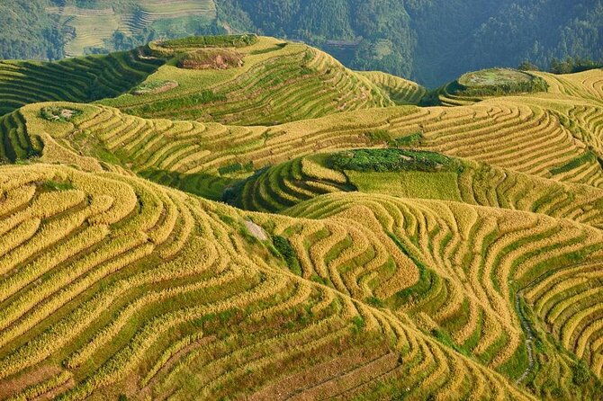 Longji Rice Terraces & Sanjiang Chengyang Dong village Private Day Tour - Key Points