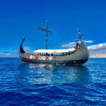 Los Cristianos: Viking Cruise Whales & Dolphins Watching - The Value of This Viking Voyage