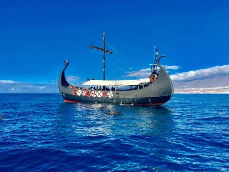 Los Cristianos: Viking Cruise Whales & Dolphins Watching - The Value of This Viking Voyage